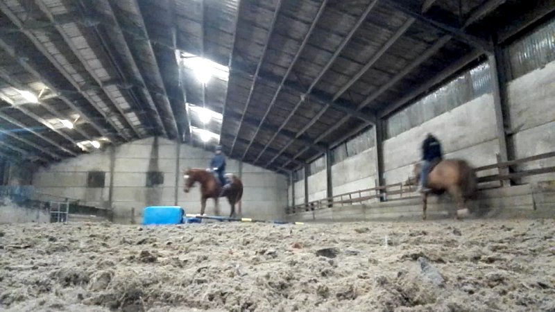 Ecurie de la Cerisaie - photo 2