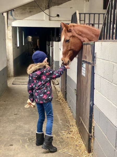 Haras de Virchel Écuries et Elevage - photo 2