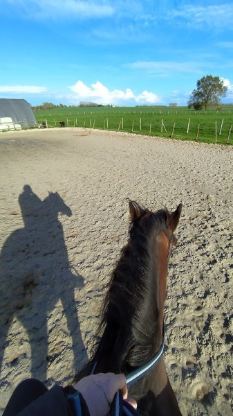 Centre Équestre Evétria - photo 2