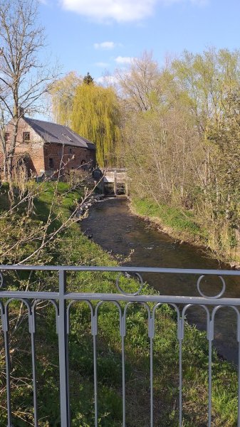 Centre équestre de Rombies - photo 1