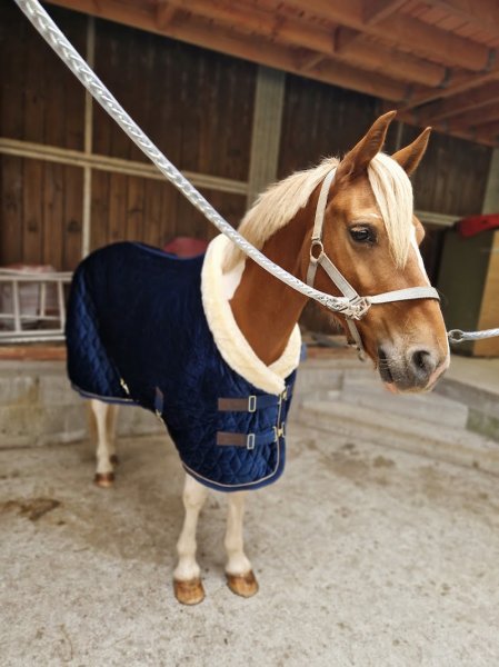 Ecuries Sebastien Berlemont Sprl - photo 1