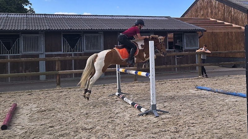 Ecuries Sebastien Berlemont Sprl - photo 3