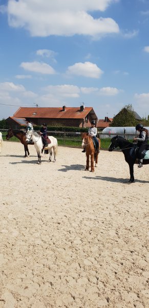 Poney Club de L'Escaut - photo 3