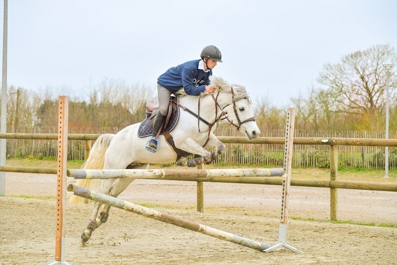 Haras de la Hocquerie - photo 1