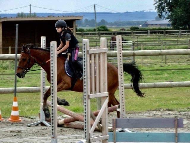 Haras de la Hocquerie - photo 3