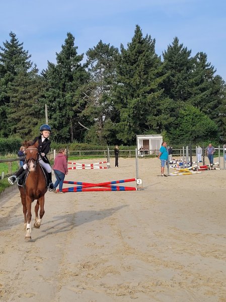 Poney Club - photo 2