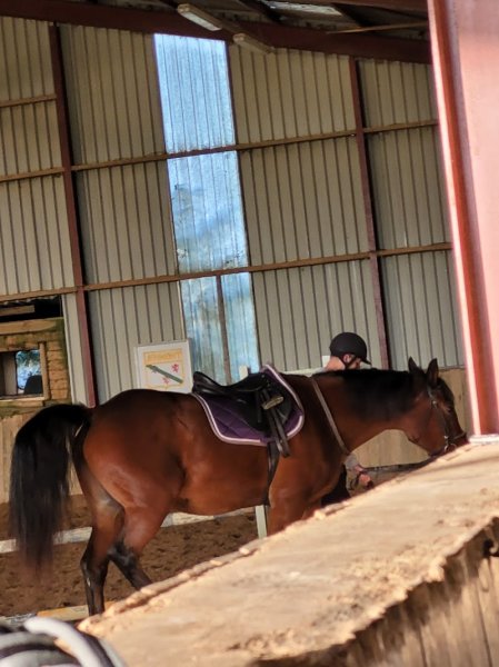 Poney Club - photo 3