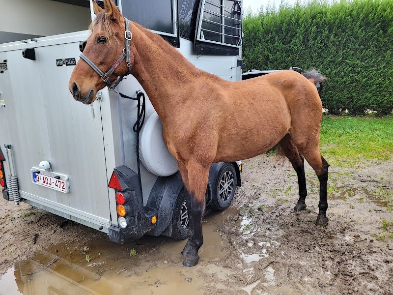 Les Ecuries du Faubourg - photo 2