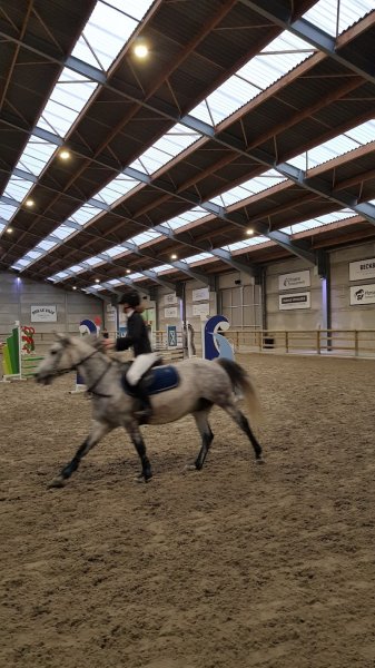 Écurie de Bois Le Ville - photo 2