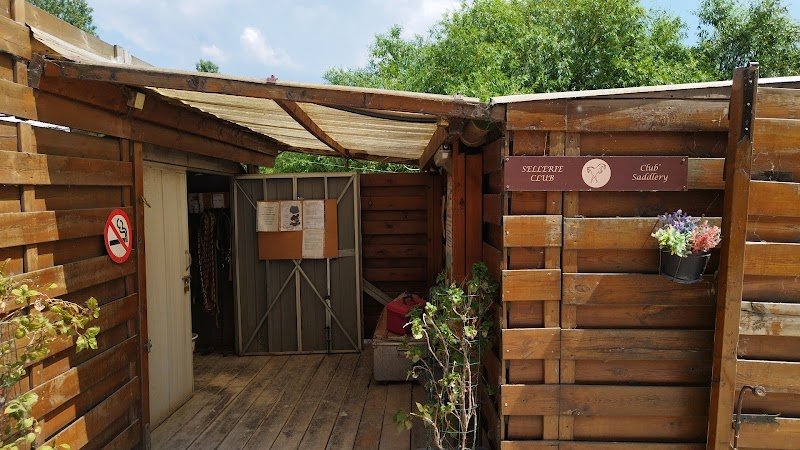 Horse Club - photo 2