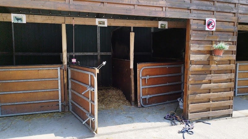 Horse Club - photo 3