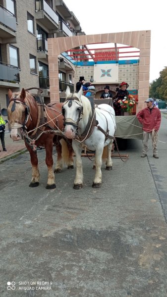 Christophe Debruyne - Elevage du Bon Coin - Eleveur de chevaux à Dunkerque - photo 3