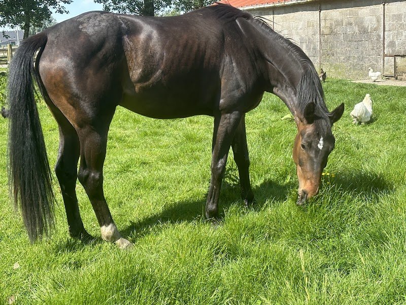 Les Ecuries De L Octogone