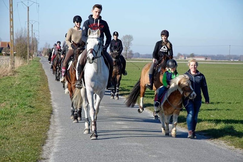 Les Ecuries De L Octogone - photo 3