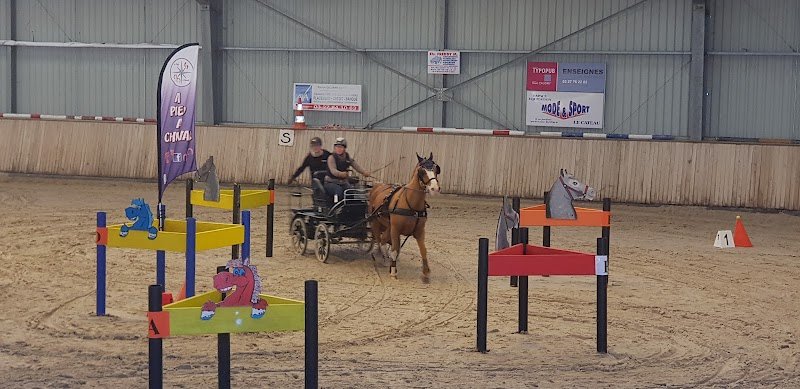 CHL - Centre Hippique Le Cateau - photo 1