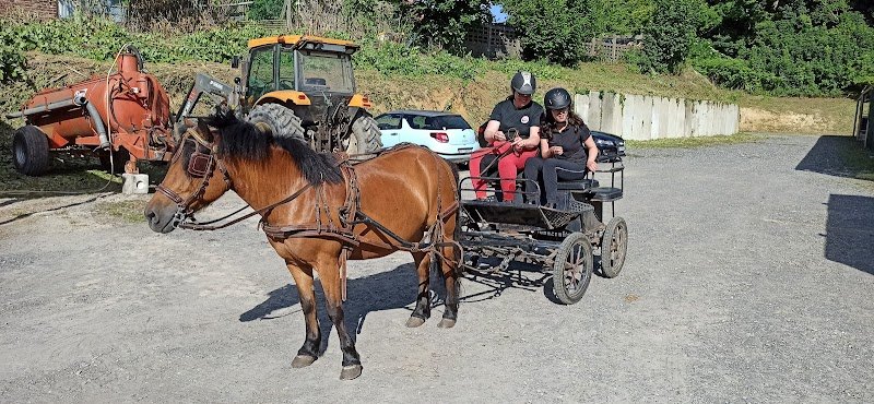 CHL - Centre Hippique Le Cateau - photo 3