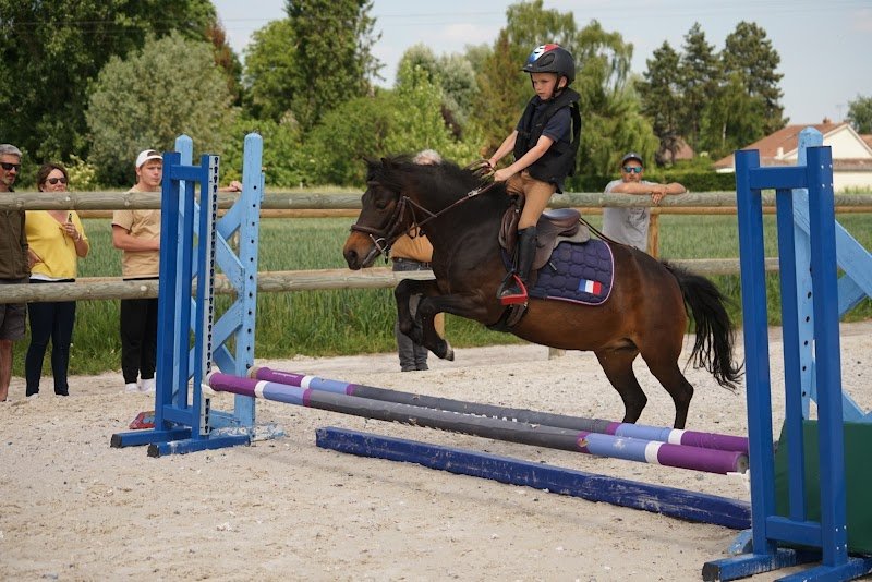 LES ECURIES DE LA LAWE - photo 2