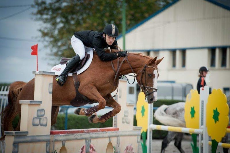 LES ECURIES DE LA LAWE - photo 3