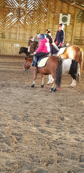 Centre équestre de la Ferme des Briques - photo 3