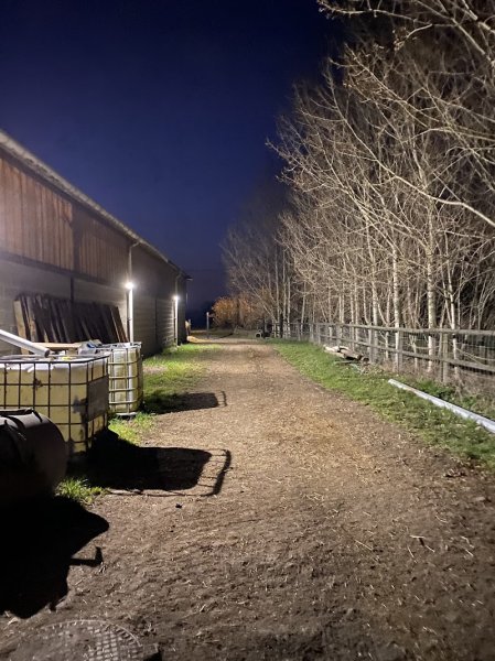 Écuries Caballarius - photo 1