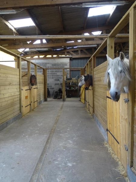 Écuries Caballarius - photo 3