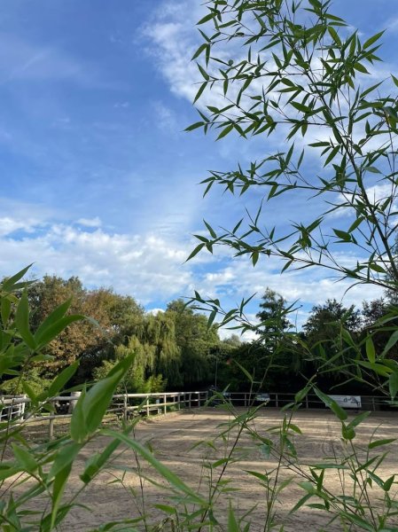 Les Ecuries de Mauquissart - photo 1