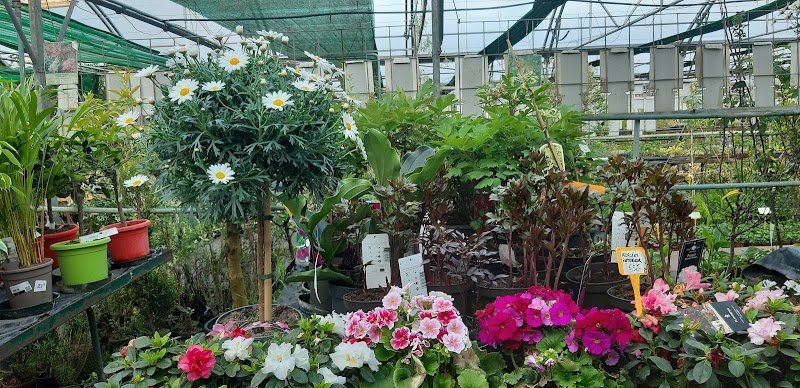 Pépinière Cheval André - photo 1