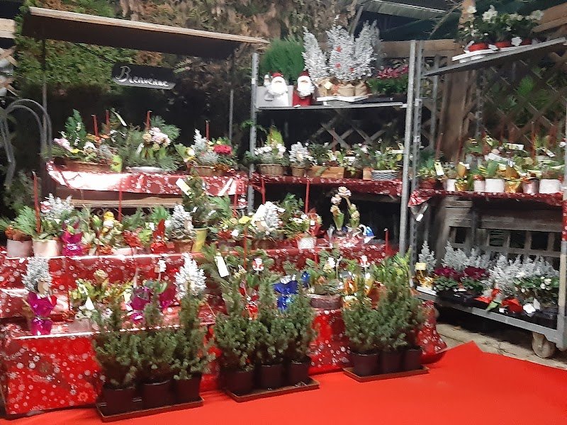 Pépinière Cheval André - photo 2