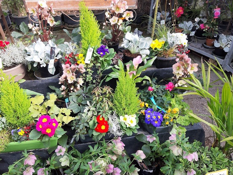 Pépinière Cheval André - photo 3