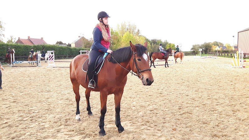 Centre Equestre des Altanes - photo 2