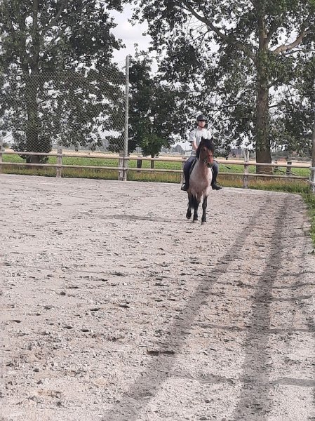Centre Equestre Saint Foy - photo 3