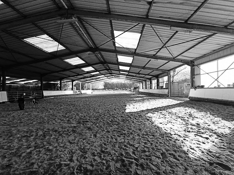 Haras du Saint-Acaire - photo 1