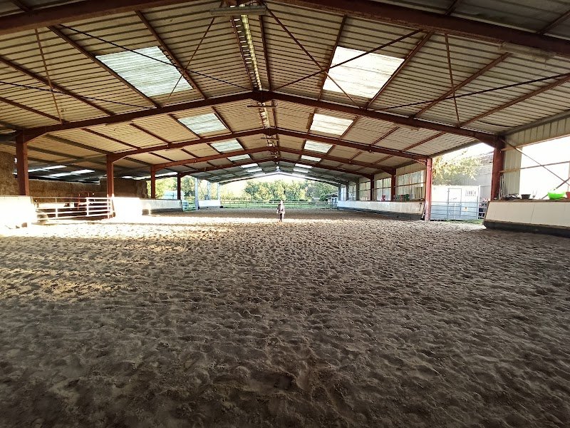 Haras du Saint-Acaire - photo 2