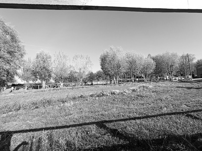 Haras du Saint-Acaire - photo 3