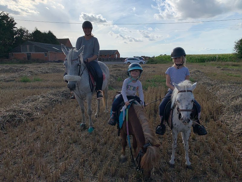 Aux Petits Poneys de Zermezeele - photo 1