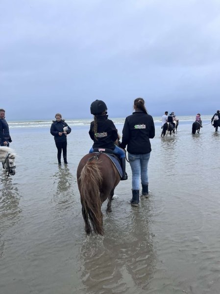 Aux Petits Poneys de Zermezeele - photo 2