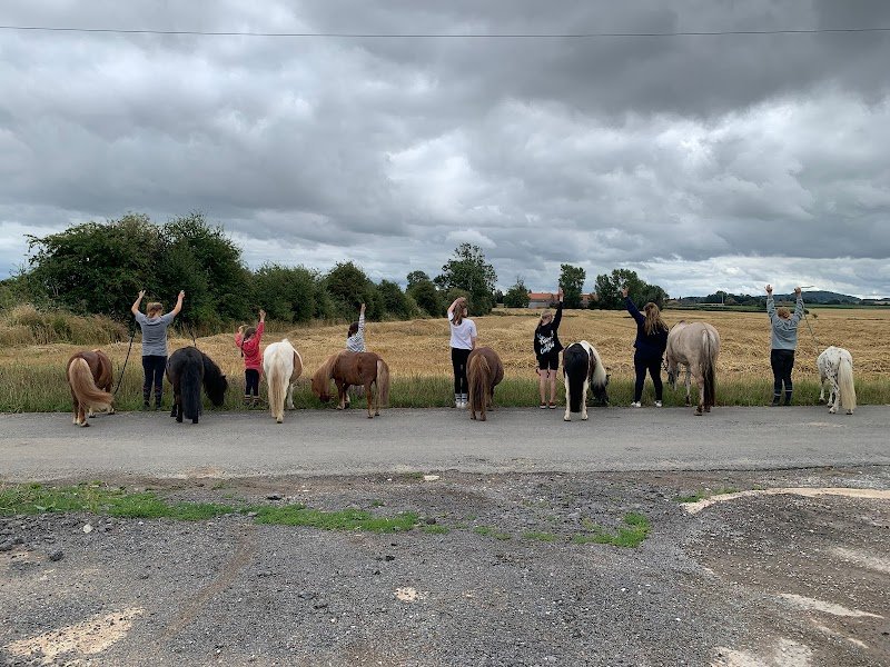 Aux Petits Poneys de Zermezeele - photo 3