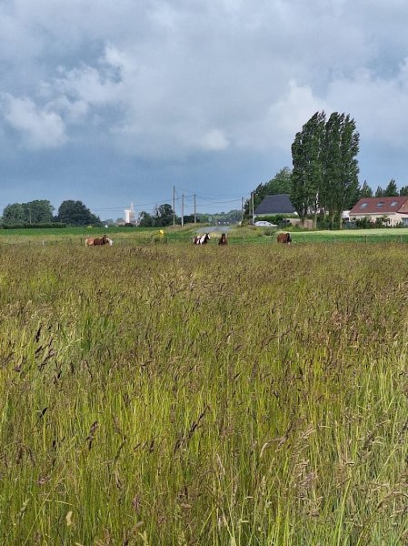 Écurie de Quém - Lucile Verdonck - photo 3