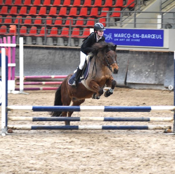 Ecuries Art'Questro - Centre équestre et poney club à Fromelles - photo 2