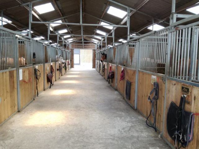 Ecuries Art'Questro - Centre équestre et poney club à Fromelles - photo 3