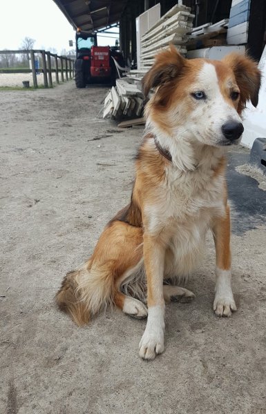 Club Hippique Des Pins - photo 3