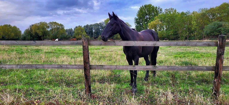 Les Écuries de l'Alloeu - photo 2