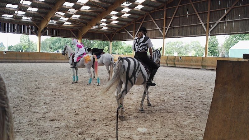 Les Écuries de l'Alloeu - photo 3