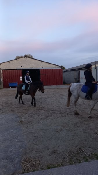 CENTRE EQUESTRE ARCHE EQUILOISIRS - photo 1