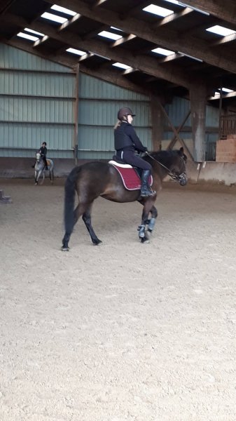 CENTRE EQUESTRE ARCHE EQUILOISIRS - photo 3