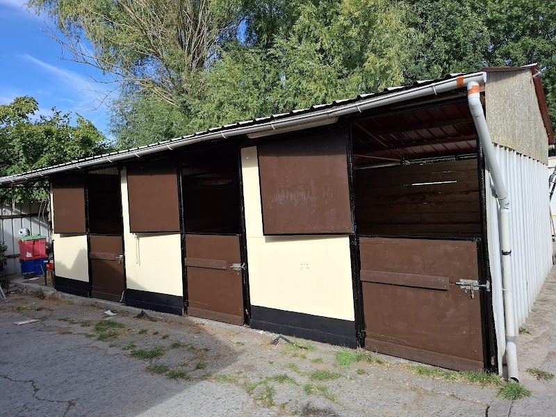 Ecuries du Marais SARL - photo 1