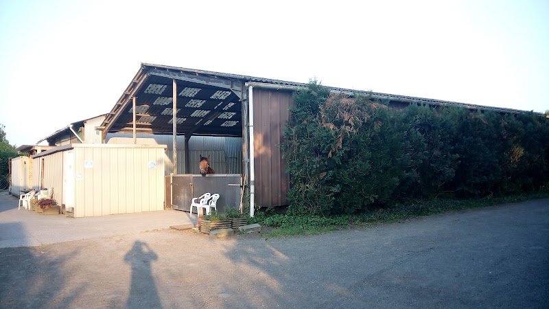 Ecuries du Marais SARL - photo 3