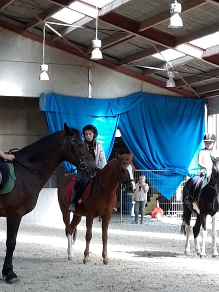 Ecurie St Eleuthere - photo 2