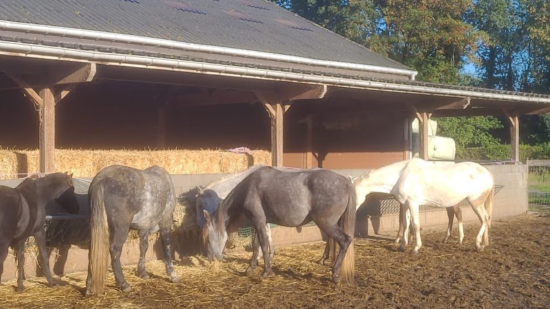 Haras de Cazeau - photo 2