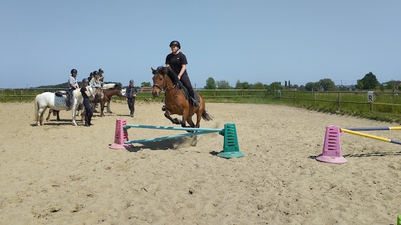 Poney Club du Belcan
